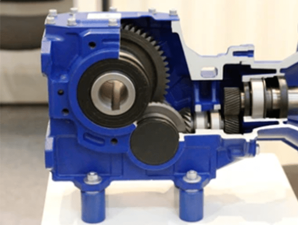 Cross section of a worm gearboxes for aggressive environments
